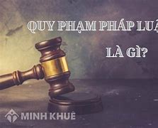 Các Loại Vi Phạm Pháp Luật Ví Dụ