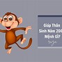 Tuổi Thân 2004 Hợp Màu Gì Năm 2023